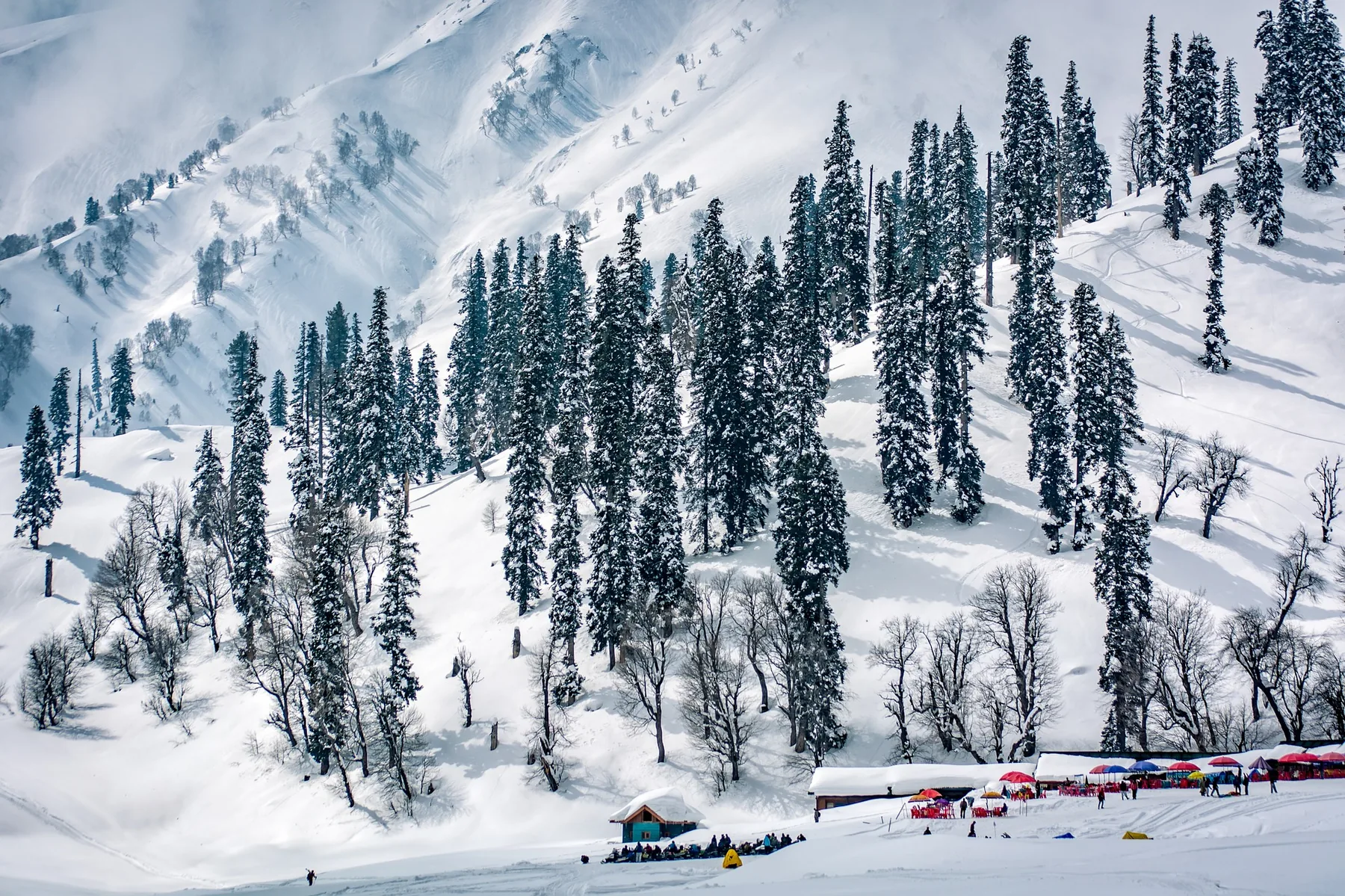 Best Time to Visit Kashmir